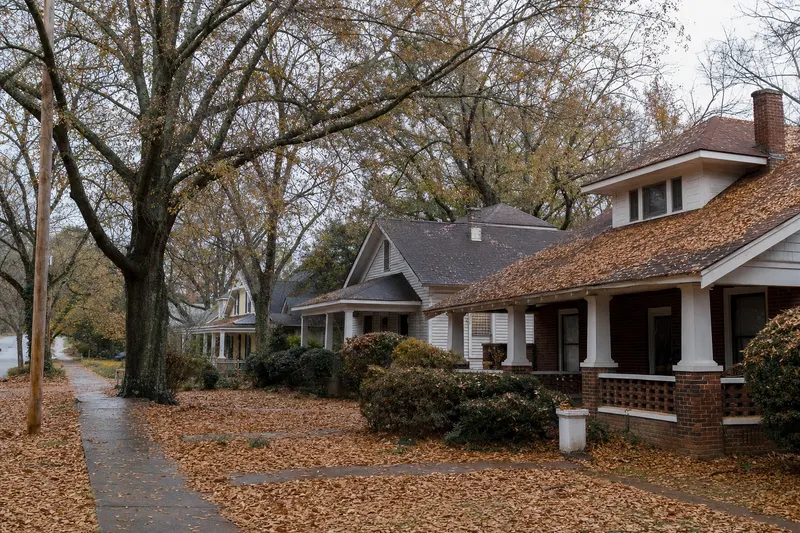 Older houses with front porches under very large oak trees, fallen leaves covering the lawns and roof edges