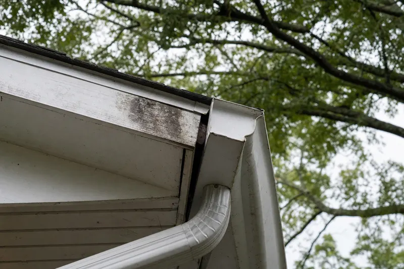 The end of a white gutter pulled away from a water-stained fascia board, seen from below