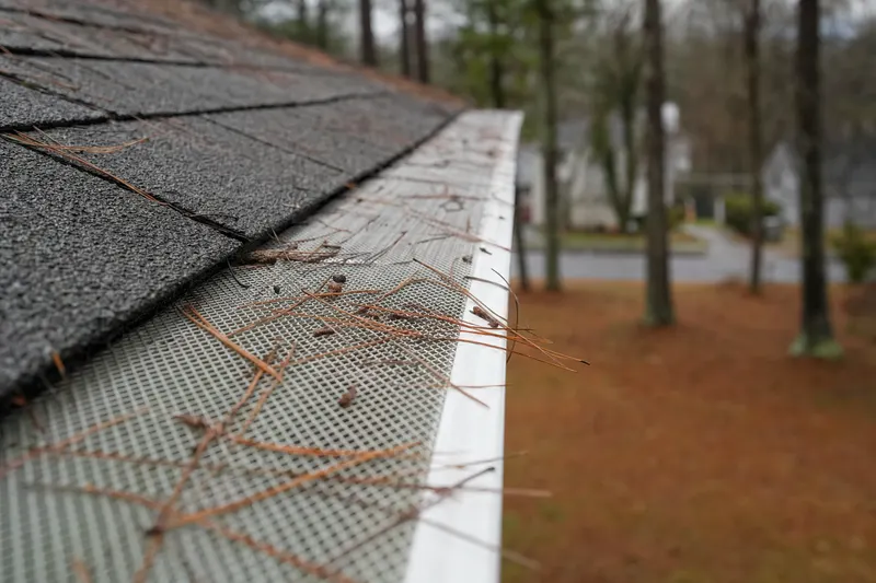 Dry pine needles lying on top of a metal mesh gutter guard at the edge of a shingle roof